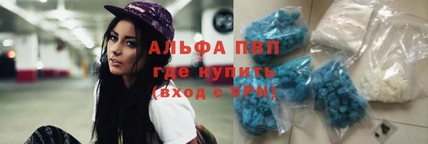 стафф Магадан