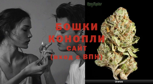 стафф Магадан